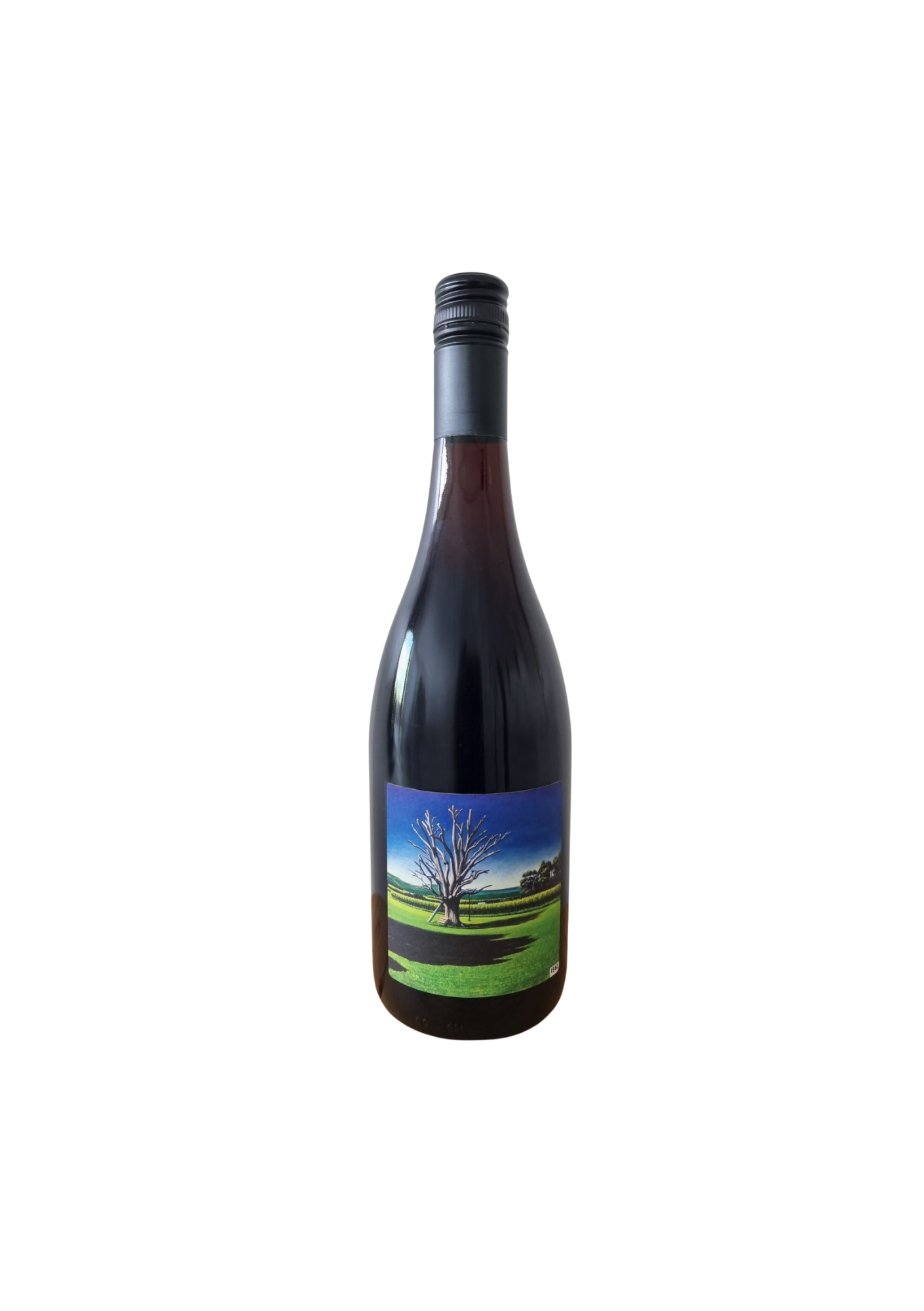 2022 Pinot Noir x 6 bottles (shipping included) – 1562